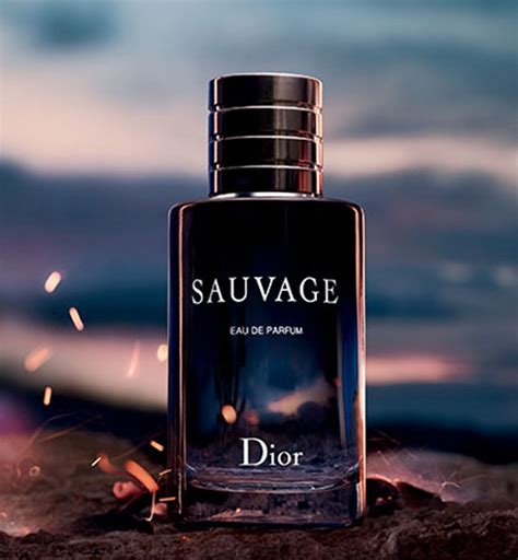 dior sauvage 100 ml eau de toilette heren|dior sauvage 60ml best price.